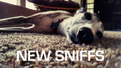 New Sniffs Aug 2018