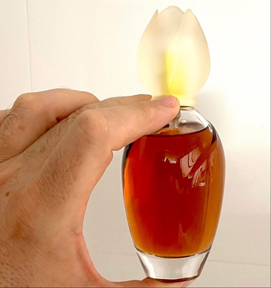 Chloe Narcisse Scent Diary Chloe Narcisse Scent Diary