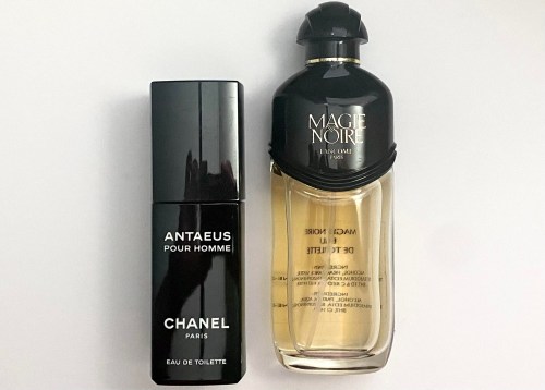 Oakmoss Notes on Notes Pixabay